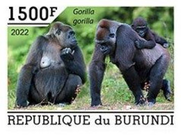 Burundi 2022, Animals, Gorilla III, 1val IMPERFORATED - Unused Stamps