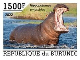 Burundi 2022, Animals, Hippo III, 1val IMPERFORATED - Nuovi