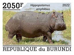 Burundi 2022, Animals, Hippo IV, 1val IMPERFORATED - Neufs