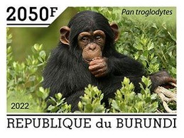 Burundi 2022, Animals, Monkey IV, 1val IMPERFORATED - Ongebruikt