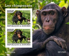 Burundi 2022, Animals, Monkey IV, Block IMPERFORATED - Neufs