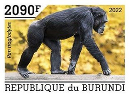 Burundi 2022, Animals, Monkey V, 1val IMPERFORATED - Ungebraucht