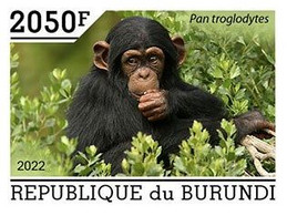 Burundi 2022, Animals, Monkey IV, 1val IMPERFORATED - Gorilas
