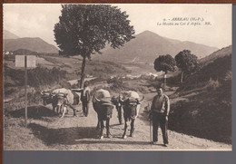 65 - ARREAU - La Montée Au Col D'Aspin  ( Attelages De Bœufs ) - Altri Comuni