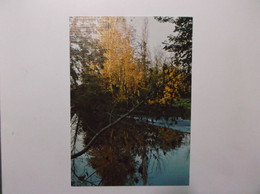 ROHAN   Abbaye Notre Dame De Timadeuc   Lumière D'Automne Sur L'Oust   Deversoir Du Moulin De Timadeuc - Rohan