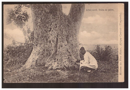 TANZANIA  Mission Des Pères Blancs  Afrique Centrale (Tanganika) - Arbre Sacre. Paien En Priere Ca 1915 - Tanzania