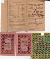 Carte Autorisation De Jardinage (avec Vignettes) Mairie De La Batie Neuve (Hautes Alpes) - Documentos Históricos