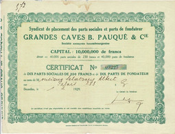 Titre Ancien - Grandes Caves B. Pauqué & Cie - Société Anonyme Luxembourgeoise - Titre De 1929 - - Industrie