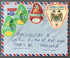 Sierra Leone, Divers Timbres Spéciaux Sur Enveloppe - (B4036) - Sierra Leone (1961-...)