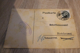 Rar Ganzsache Schultheissenamt Steinhausen Schussenried Waldsee 16.1.1929 - Postkarten - Gebraucht