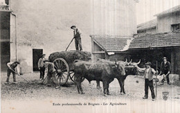 CPA   69    ECOLE PROFESSIONNELLE DE BRIGNAIS---LES AGRICULTEURS - Brignais