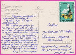 275581 / Bulgaria Plovdiv Plowdiv - Djambaz Tepe Used 1984 - W.W.F WWF Dalmatian Pelican (Pelecanus Crispus) - Lettres & Documents