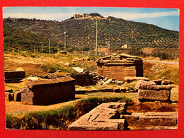 Cartolina - Populonia ( Livorno ) - Baratti - Tombe Etrusche - 1965 Ca. - Livorno