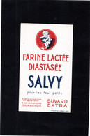 Petit Buvard " FARINE LACTEE DIASTASEE  SALVY Pour Les Tout Petits - Alimentos