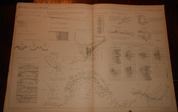 Plan De Travaux Du Port De Cette.1866. - Travaux Publics