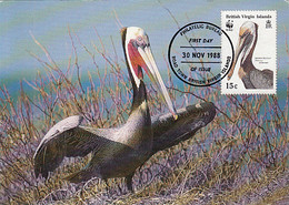 ANIMALS, BIRDS, BROWN PELICAN, CM, MAXICARD, CARTES MAXIMUM, OBLIT FDC, 1988, BRITISH VIRGIN ISLANDS - Pélicans