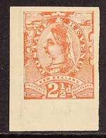 C 1882. QV 2Â½d IMPERFORATE PLATE PROOF. 2Â½d Red-brown, Plate Proof On Wmk NZ & Star Paper (as SG 197) Imperf Proof Wit - Other & Unclassified