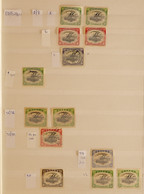 1901-1974 MINT, NHM & USED RANGES In A Stockbook, Includes 1901-05 Â½d (x2) & 1d (x2) Mint, 1907-10 Vals To 6d Mint, 191 - Papua New Guinea