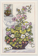 MONACO - 2 Cartes Maximum -  Concours International De Bouquets -Fraisiers, Campanule, Nénuphars, églantiers -13/11/1987 - Cartes-Maximum (CM)