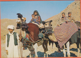 AFGHANISTAN - KOCHI (NOMAD)  - CPM Grand Format - Afghanistan