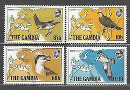 GAMBIA 1983 - AVES - PAJAROS - YVERT 480-483** - Gambia (1965-...)