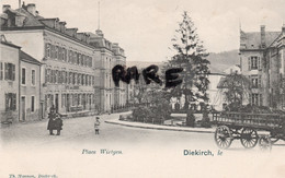 LUXEMBOURG,DIEKIRCH,1900,PLACE WIRTGEN,CHARIOT,ENFANTS,HOTEL,CARTE RARE - Diekirch