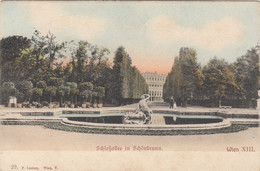 Gruss Aus WIEN (Wien XIII) - Schönbrunn, Schlossallee, Karte Gel. 1906 - Schloss Schönbrunn
