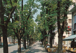 CARTOLINA  VITTORIO VENETO,TREVISO,VENETO,VIALE DELLA VITTORIA-PASSEGGIATA,BELLA ITALIA,CULTURA,STORIA,VIAGGIATA 1972 - Treviso