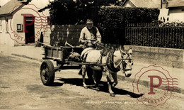 CARTE PHOTO  RPPC SCILLY STREET SWEEPER  BURROS ANE DONKEY EZEL BURRO - Scilly Isles