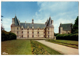 Le Château De La Roche à Magné - Gencay
