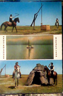 AUSTRIA  Österreich BURGERLAND NEUSIEDLERSEE CAVALLI HORSES VB19777 IQ8659 - Neusiedlerseeorte