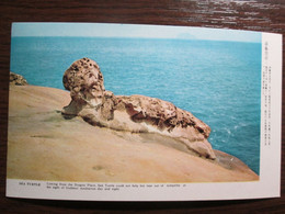 Sea Turtle Postcard Taiwan - Taiwan