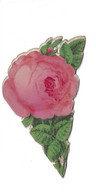 CPA Rose En Forme De Fleur Et Dépliant Monuments - Fiori