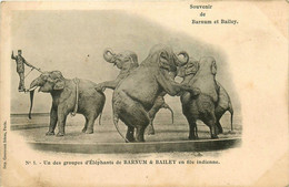 Cirque * Circus * BARNUM Et BAILEY * Un Groupe D'éléphant En File Indienne * Spectacle - Circus