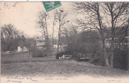 91 BIEVRES VAUBOYEN 1908 Vue Du Parc - Bievres