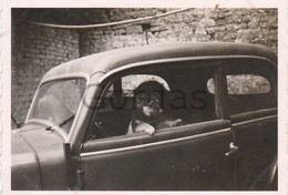 Germany - Thuringie - Eisenberg - Old Time Car - Dog - Hund - Photo - 60x80mm - Eisenberg