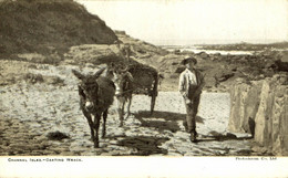 CHANNEL ISLES CARTING WRACK   BURROS ANE DONKEY EZEL BURRO - Other & Unclassified