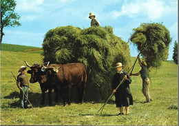 TRADITIONS + Carte Postale Neuve : FENAISON - FOIN - Petits Métiers De Chez Nous - Attelage 2 BOEUFS + AS DE COEUR T14 - Attelages