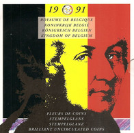 FDC Setje  1991  Frans + Vlaams - FDEC, BU, BE & Münzkassetten