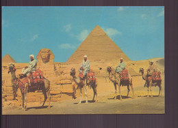 EGYPTE LE GRAND SPHINX ET PYRAMIDE DE CHEPHREN - Sphinx