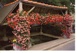 SAINT JEAN BREVELAY LE LAVOIR - Saint Jean Brevelay