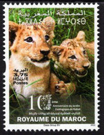 Morocco - 2022 - Rabat Zoo - 10th Anniversary - Mint Stamp - Morocco (1956-...)
