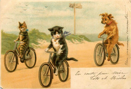 Chats Humanisés * CPA Illustrateur * Vélo Cycle Chien Dog * Chat Cat Cats Katze Humanisé - Cats