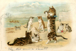 Chats Humanisés * CPA Illustrateur * Famille Bord De Mer Jumelles Jeux * Chat Cat Cats Katze Humanisé - Cats