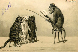 Chats Humanisés * CPA Illustrateur Maurice BOULANGER * La Lecture * Singe Monkey * Chat Cat Cats Katze Humanisé - Cats