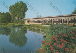 CARTOLINA  TREVISO,VENETO,IN FIORE-CEDRAIA DI VILLA MANFRIN,MEMORIA,RELIGIONE,STORIA,CULTURA,BELLA ITALIA,NON VIAGGIATA - Treviso