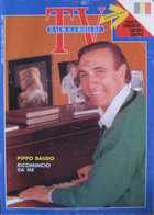 RADIOCORRIERE TV 14 1989 Pippo Baudo Michele Placido Giuliana De Sio Vincent Irizarry Frank Sinatra Liza Minnelli - Televisione