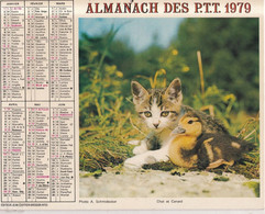 Almanach Du Facteur, Calendrier De La Poste,1979, Seine-Maritime: Chat Et Canard, Fabrice Et Son Poulain. - Big : 1971-80