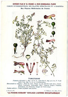 Plantes Médicinales 5 Planches Fumeterre Genet Houblon Bardane Guimauve Publicité Exibard 1920 TB état - Heilpflanzen