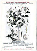 Plantes Médicinales 5 Planches Jasmin Lierre Marronnier Matricaire Menthe Publicité Exibard 1920 TB état - Piante Medicinali